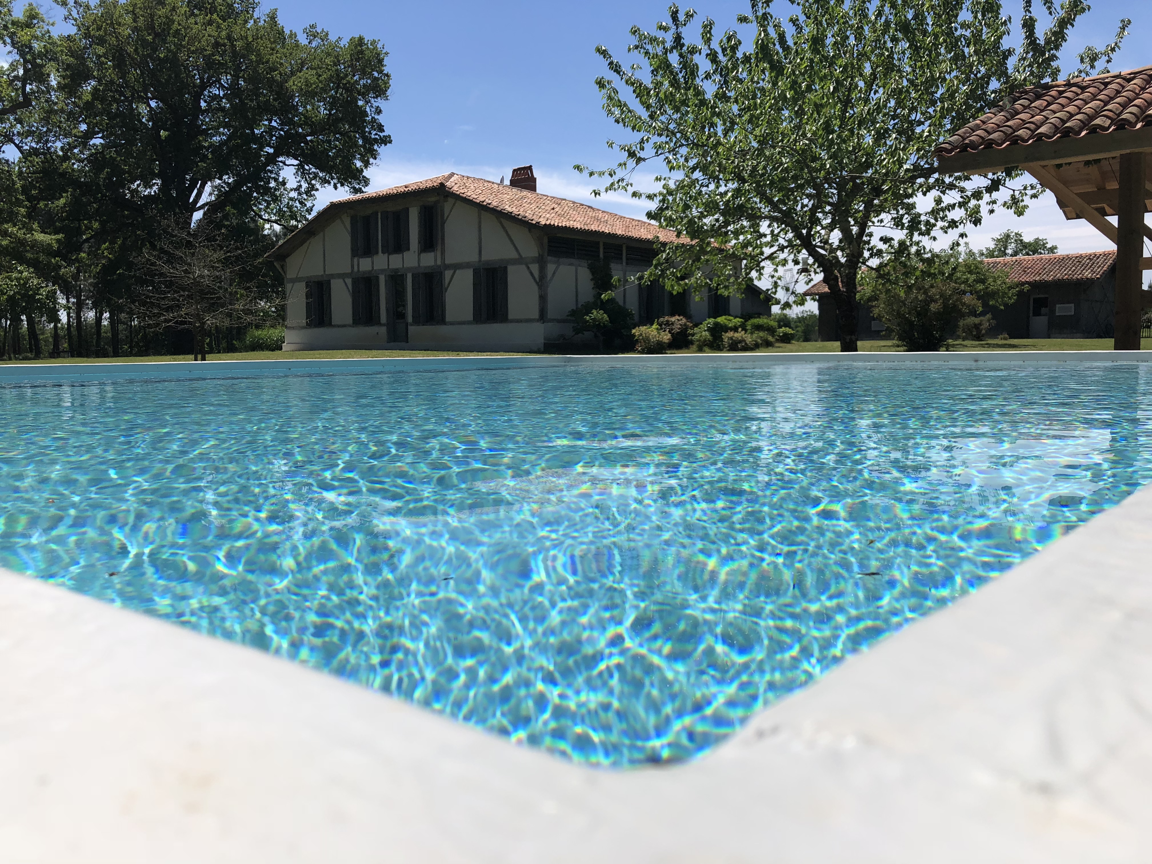 La canopée des Landes Gîte de groupe et lieu de séminaire, Morcenx-la-Nouvelle - photo 3