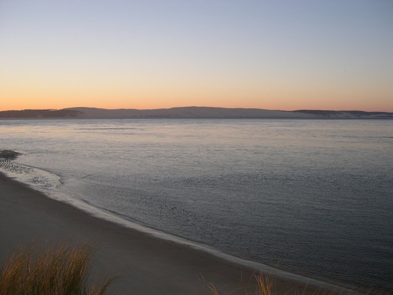 Réserve des dunes - Pointe du Cap Ferret, Lège-Cap-Ferret - photo 6