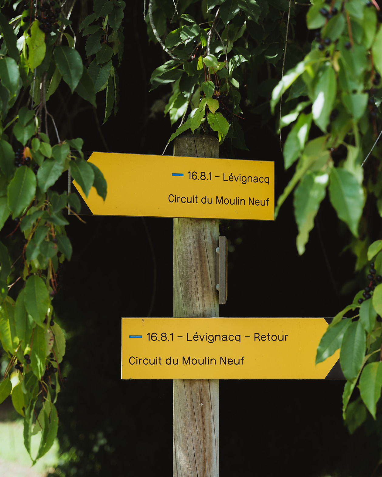 A Lévignacq, circuit du Moulin Neuf, Lévignacq - photo 9