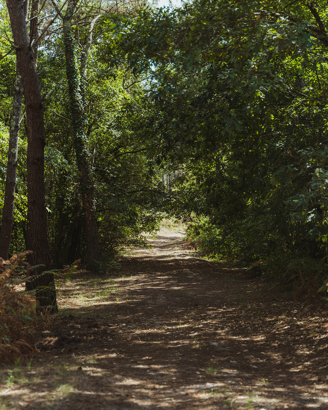 A Lévignacq, circuit du Moulin Neuf, Lévignacq - photo 8
