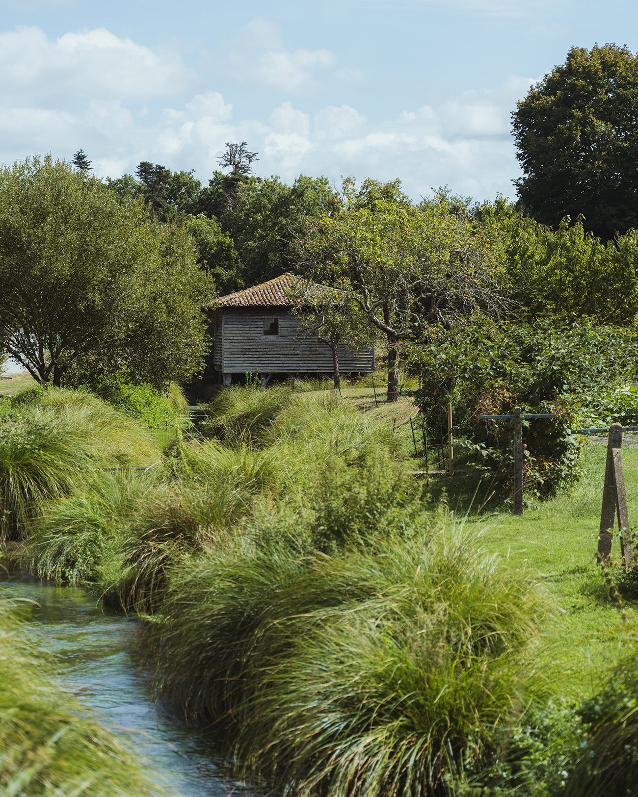 A Lévignacq, circuit de Barzague, Lévignacq - photo 7