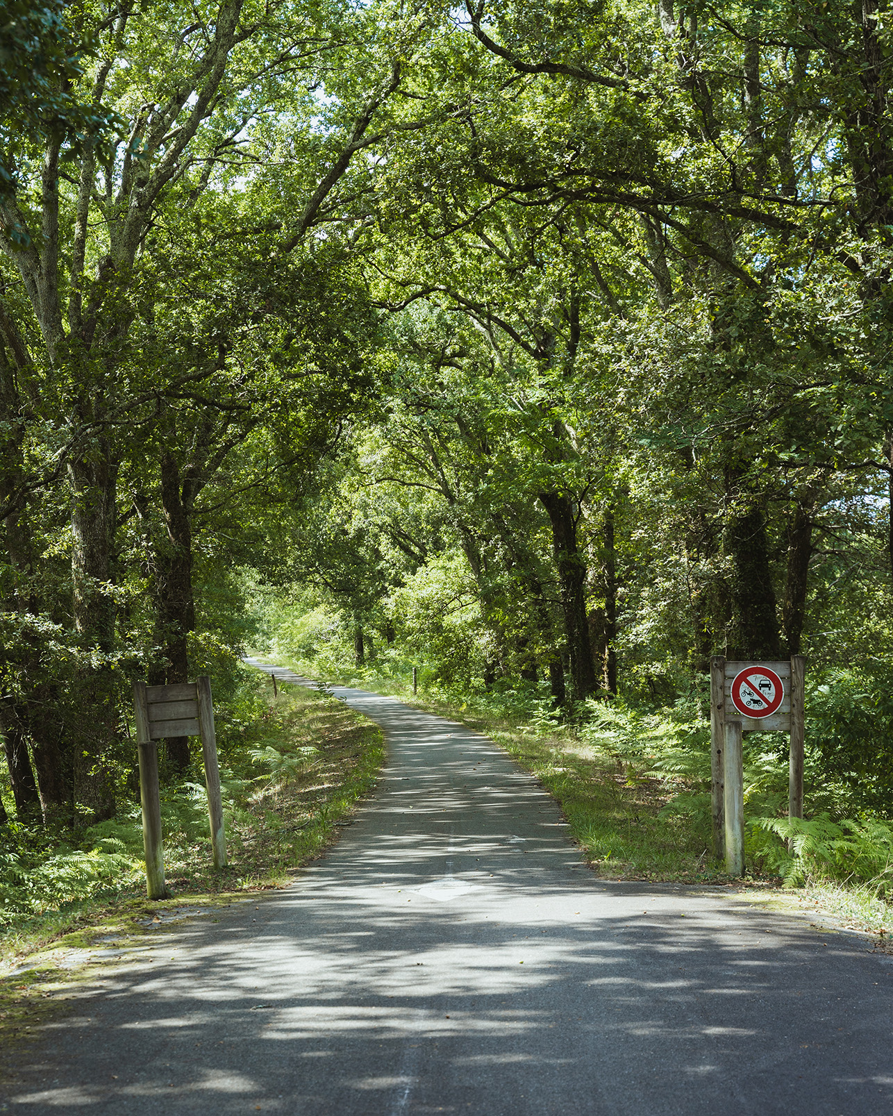 Piste cyclable du Cap de l'Homy / Piste Cyclable du Vignac - photo 2