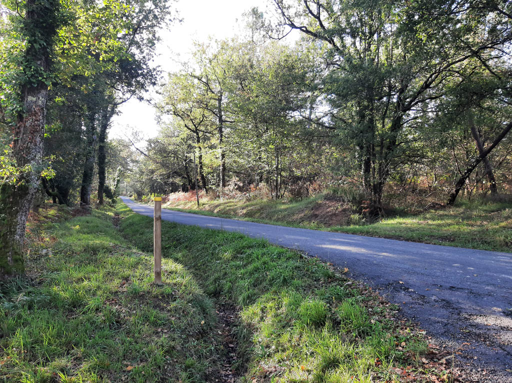 Boucle de Peypensou - Lunas, Lunas - photo 2