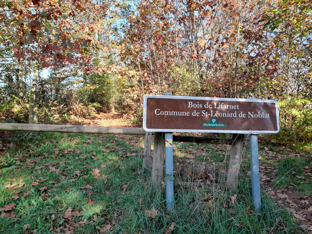 Forêt communale de Lifarnet