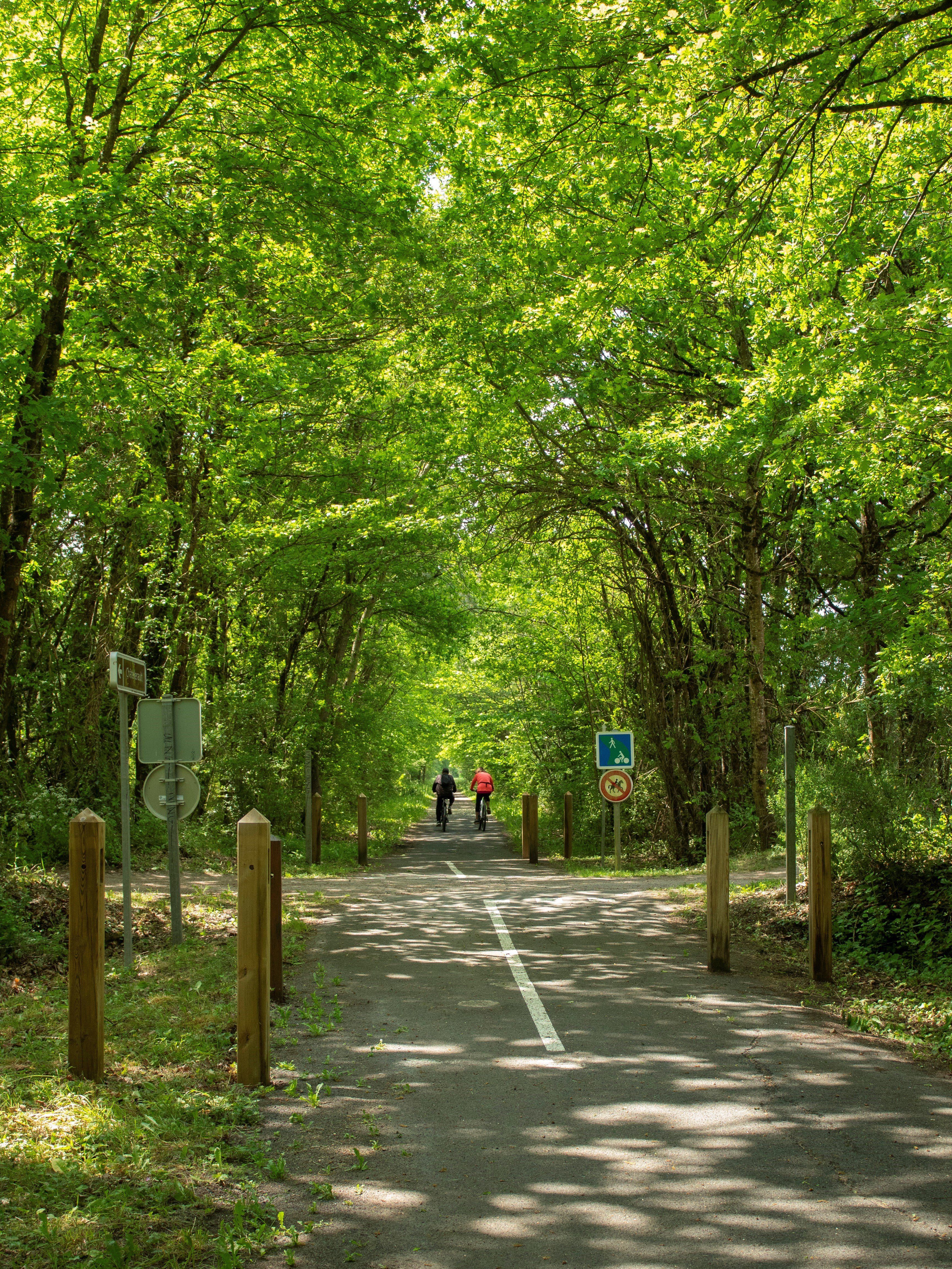 La Ligne Verte dans le Châtelleraudais — photo 2