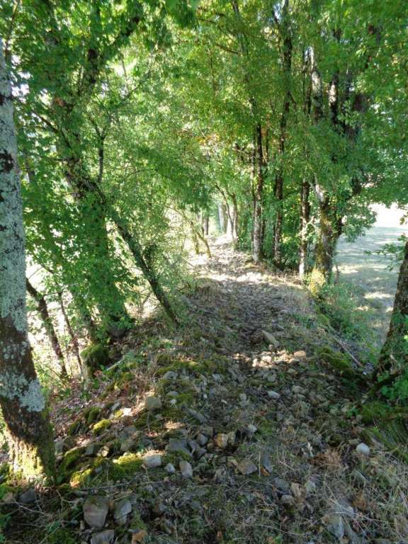 Tour de la Vicomté - boucle Ligneyrac - VTT — photo 3