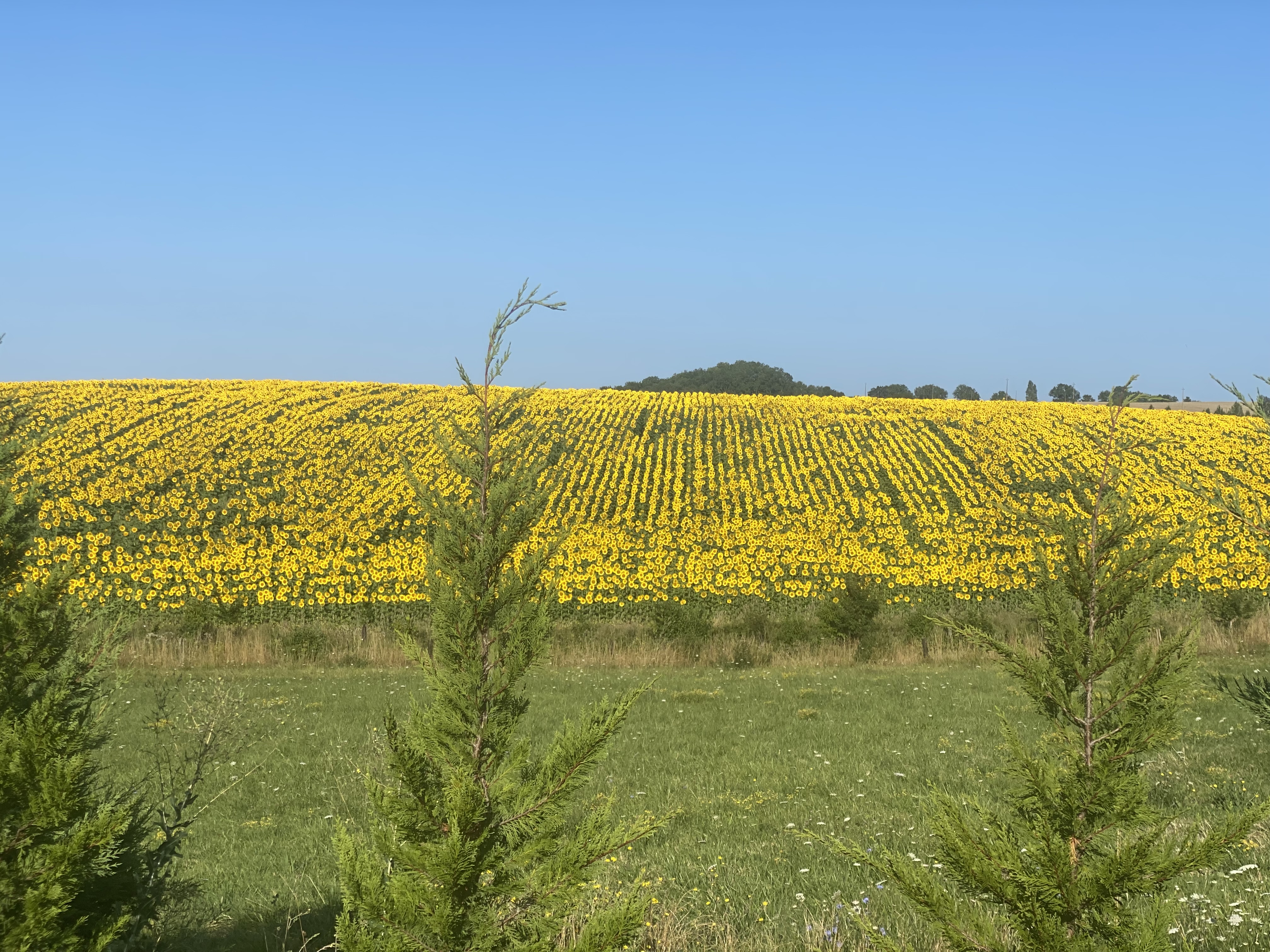 Liguand Complex - Maison de Jeanne, Saint-Quentin-du-Dropt - photo 3