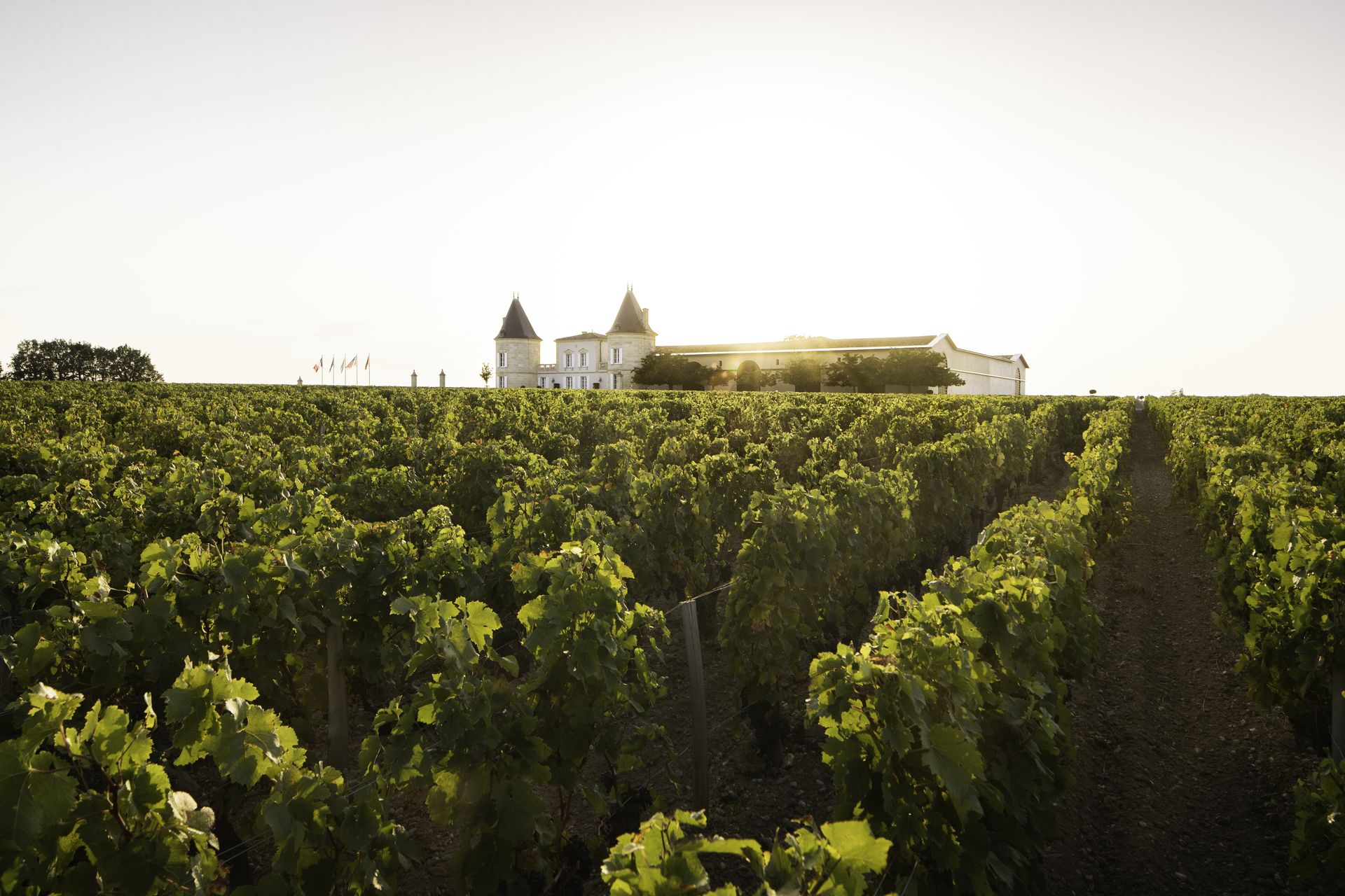 Château Lilian Ladouys - photo 4