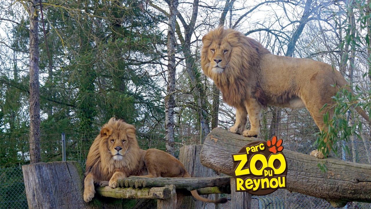 Parc Zoo du Reynou, Le Vigen - photo 2