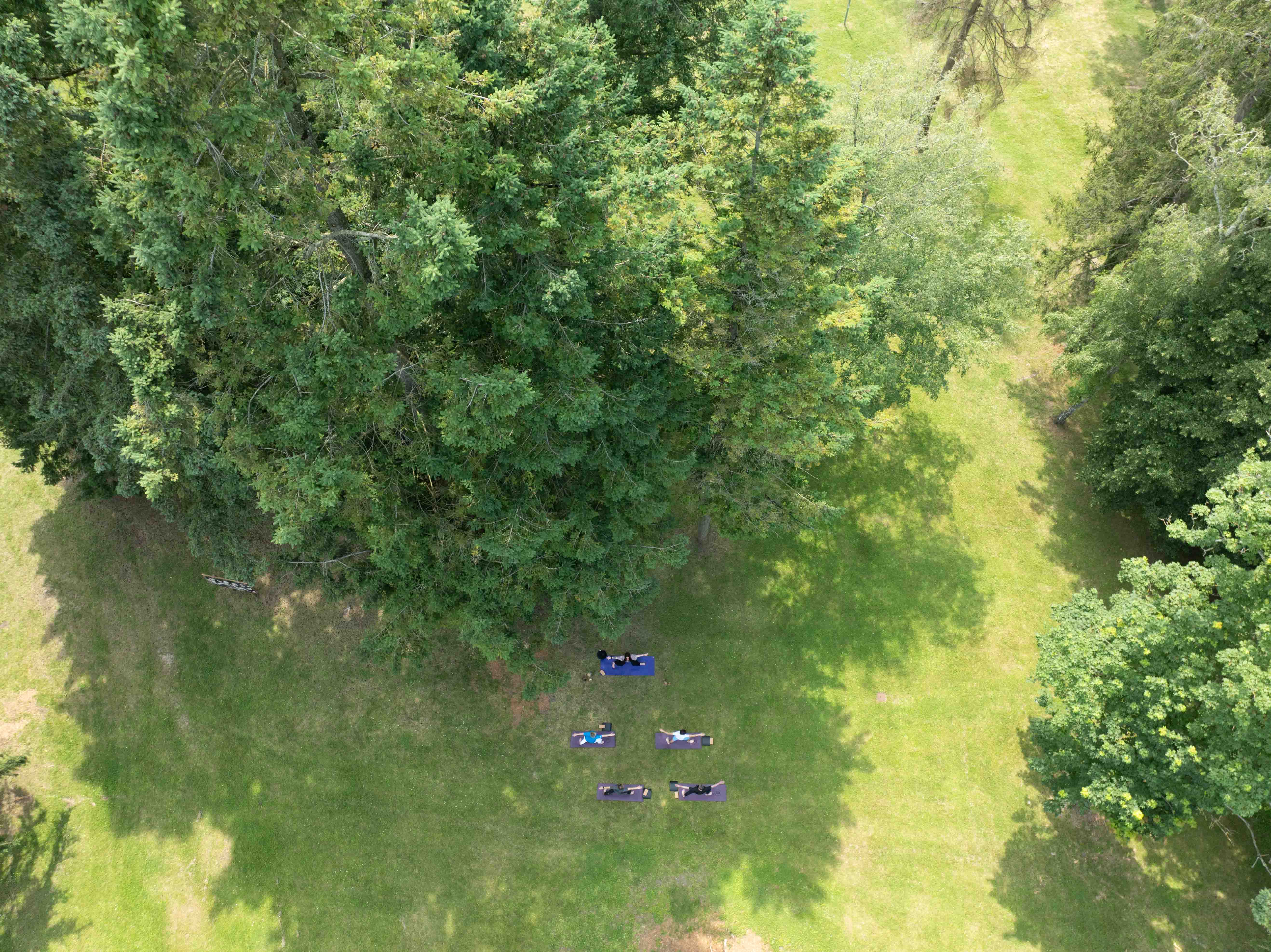 Parc Thermal à La Roche-Posay - photo 3