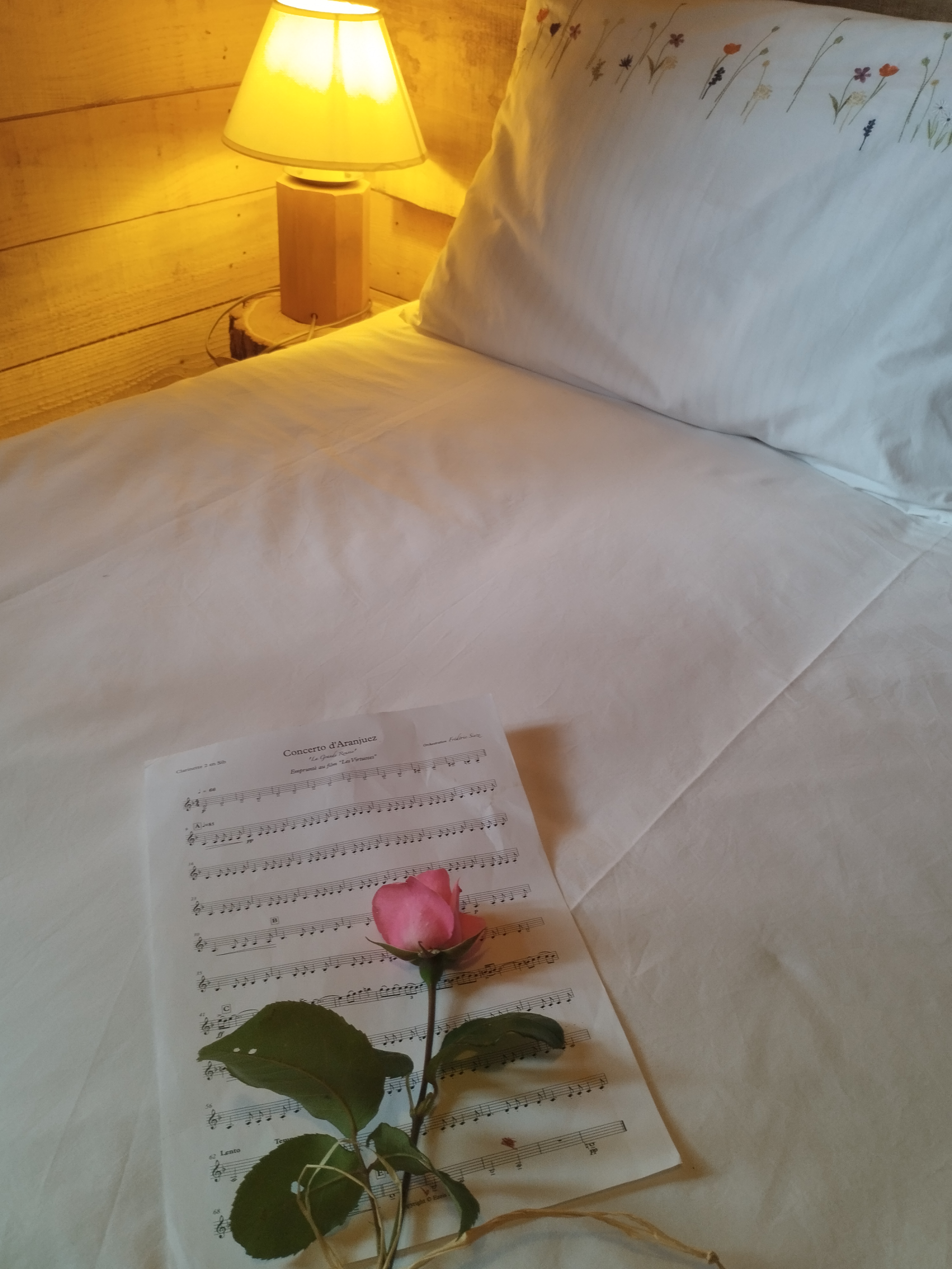 Cabane dans les arbres : la Papyjotte, Montfort-en-Chalosse