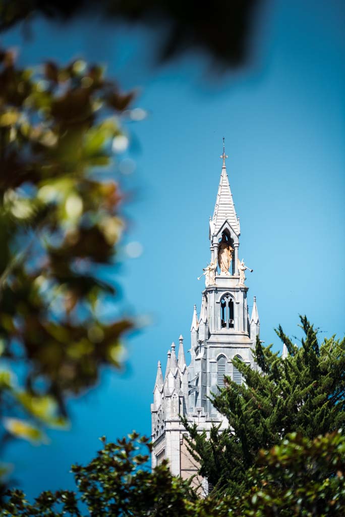 Eglise Notre-Dame de Lit, Lit-et-Mixe - photo 6