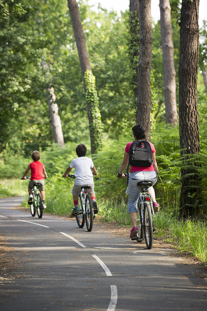La Vélodyssée - De Contis Plage à Léon, Saint-Julien-en-Born - photo 7