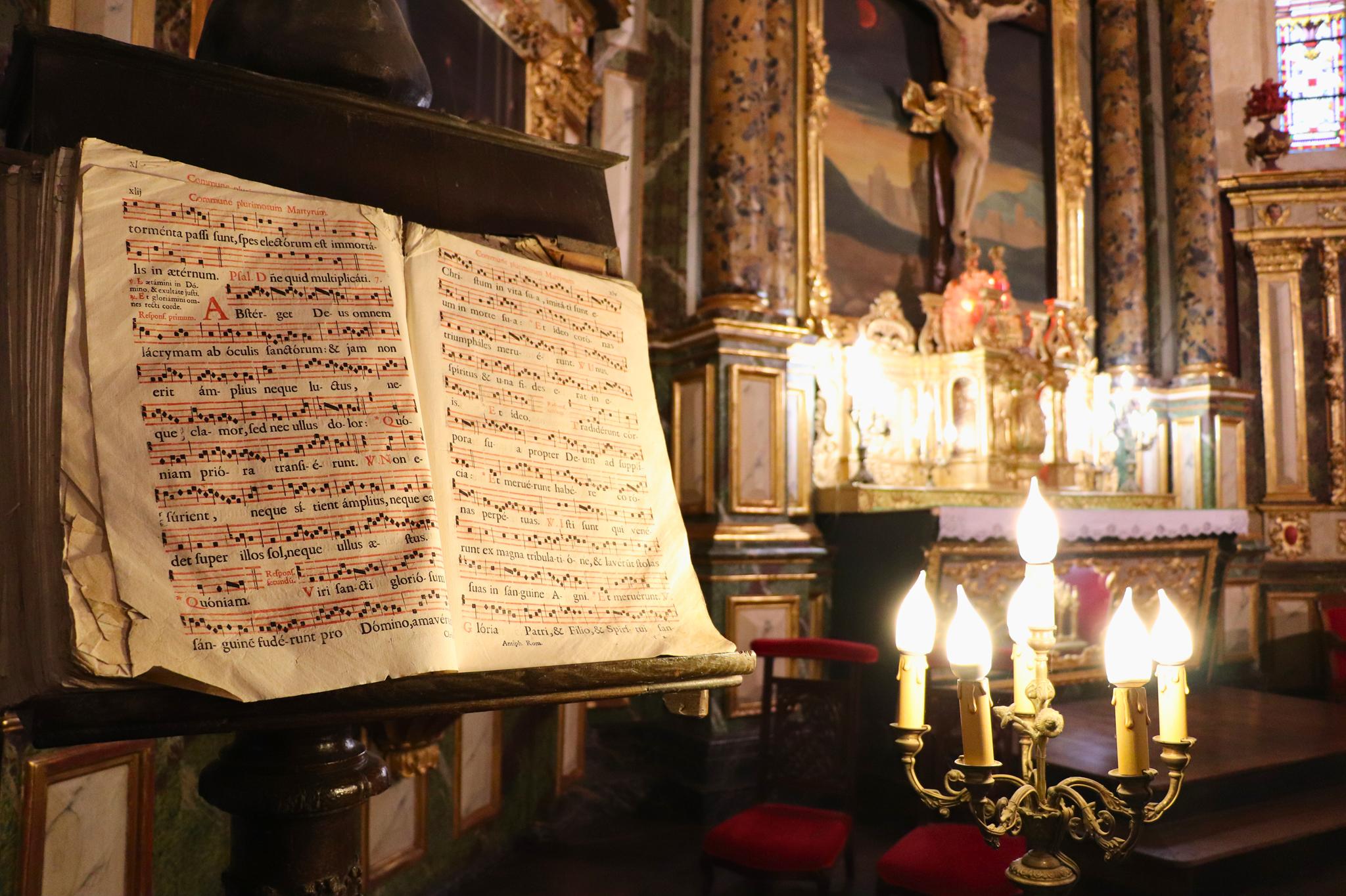 Eglise Saint Girons et sa charpente, Monein - photo 18