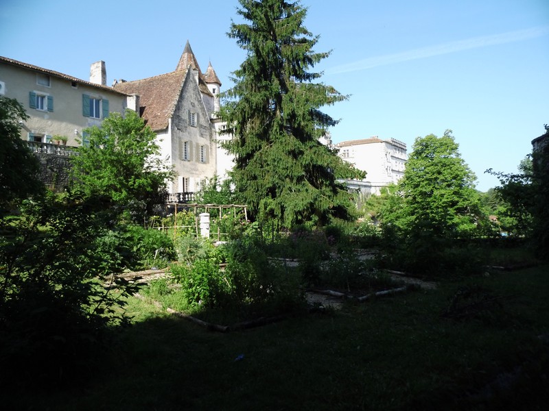 Le Jardin du Presbytère - Lo Vergier dau curet, Bourdeilles - photo 4