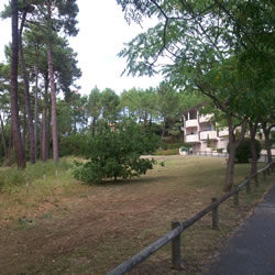 STUDIO DANS RESIDENCE MENDIBURU STUDIO DANS RESIDENCE MENDIBURU