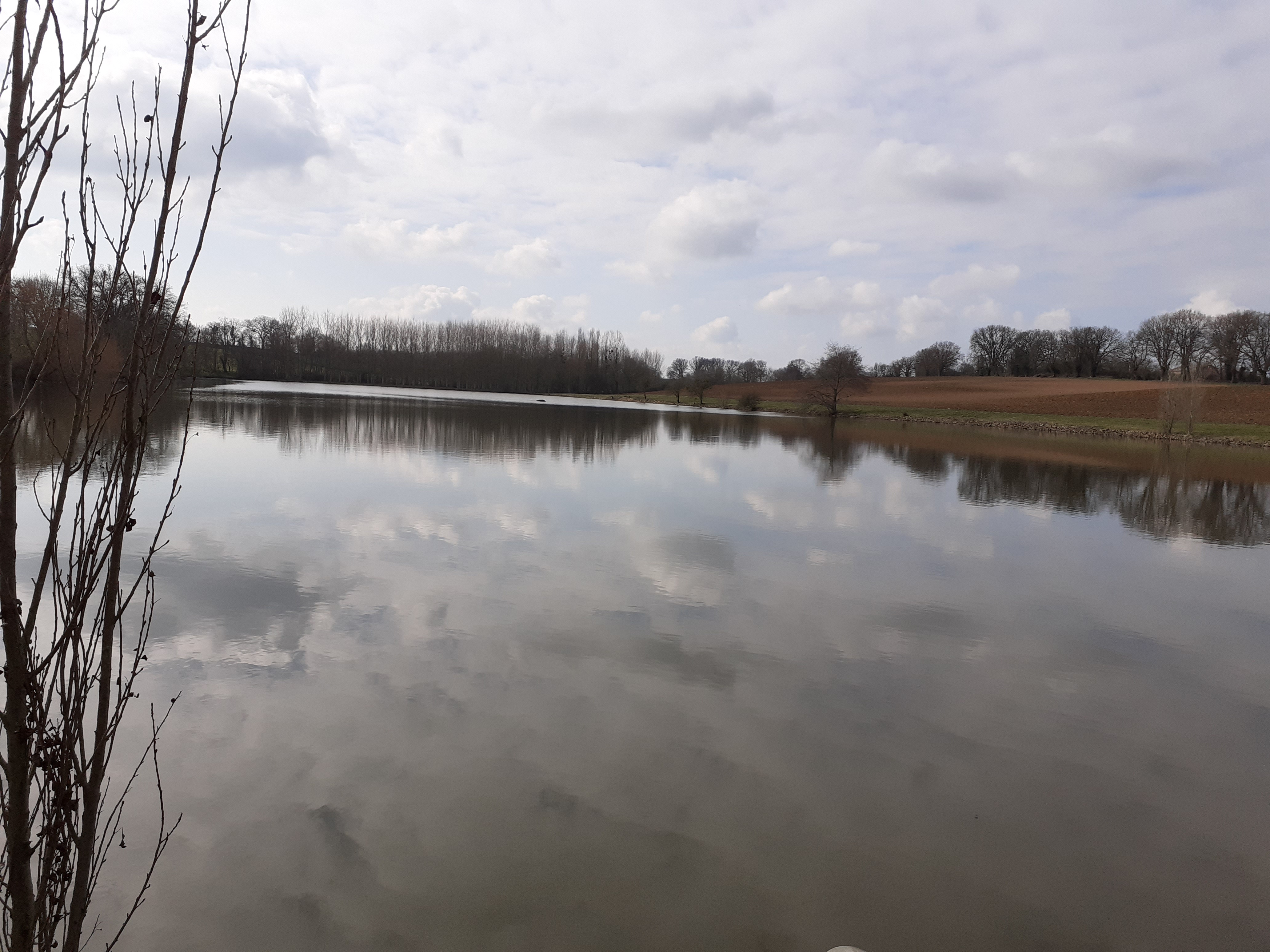 Maison de campagne rénovée, Thénezay - photo 10