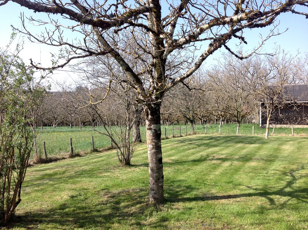 Johanna, Liourdres - photo 26