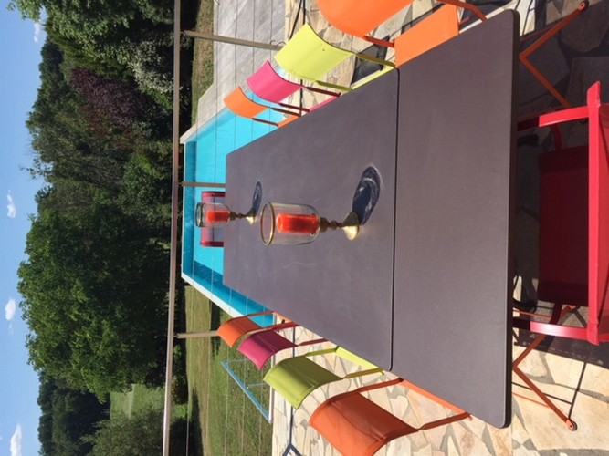 Domaine La Fontaine, Queyssac-les-Vignes - photo 14