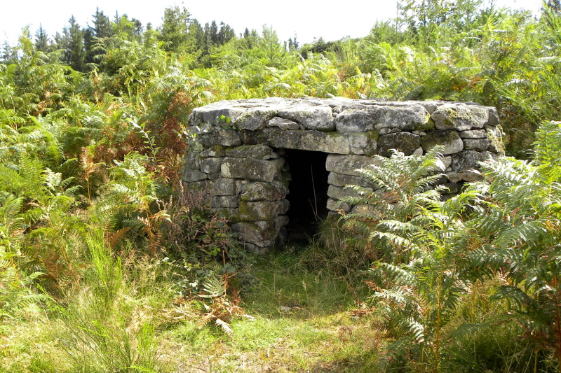 Base VTT FFC des Monts du Limousin - Circuit 14 Pierres sèches, Jabreilles-les-Bordes