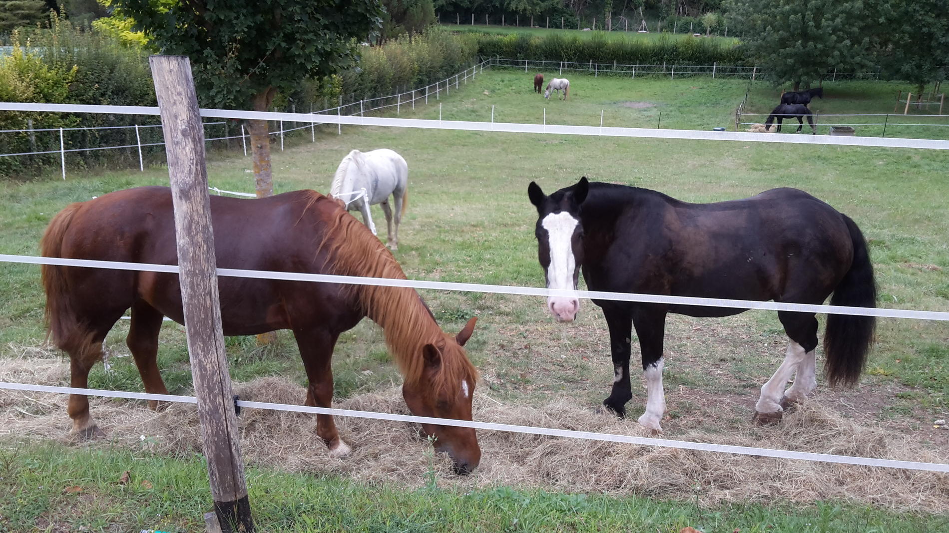 Logis Saint Martin, Montagnac-la-Crempse - photo 12