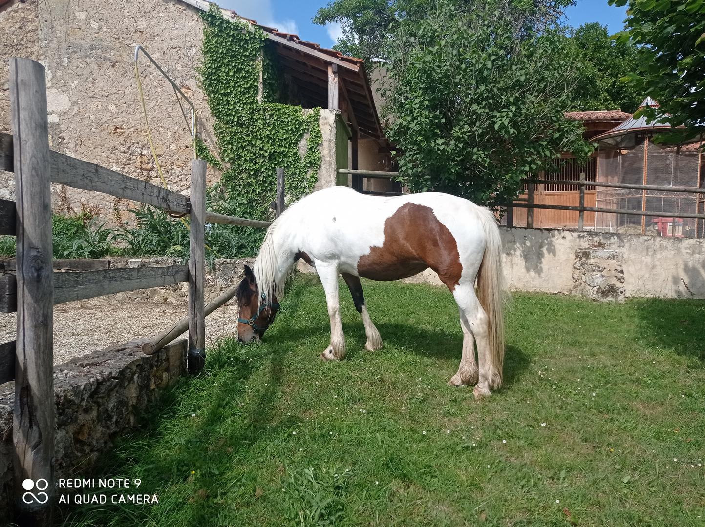 Logis Saint Martin, Montagnac-la-Crempse - photo 4