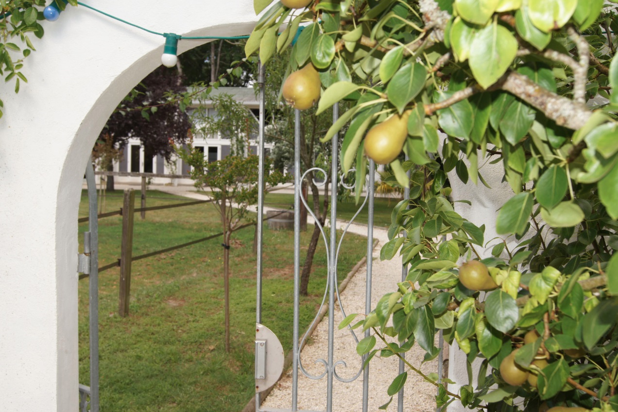 Le Logis de la Mellerie, Jau-Dignac-et-Loirac - photo 18