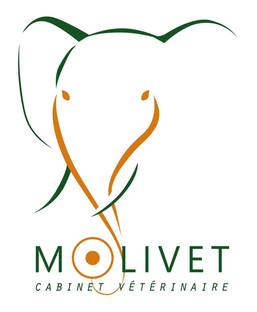 Cabinet Molivet