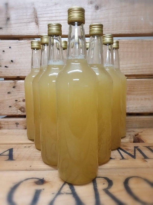 Loïc RANNOU - photo 5