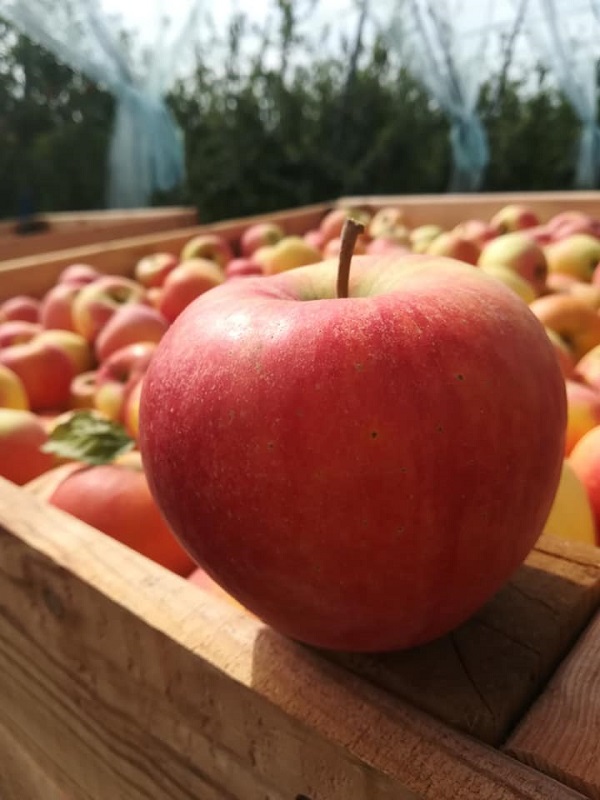 Loïc RANNOU - photo 2