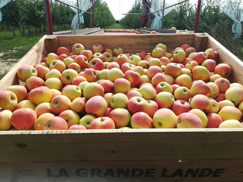 Loïc RANNOU - photo 3