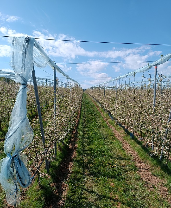 Loïc RANNOU - photo 4