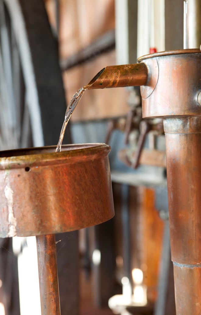 Écomusée de l'Armagnac, Labastide-d'Armagnac - photo 3