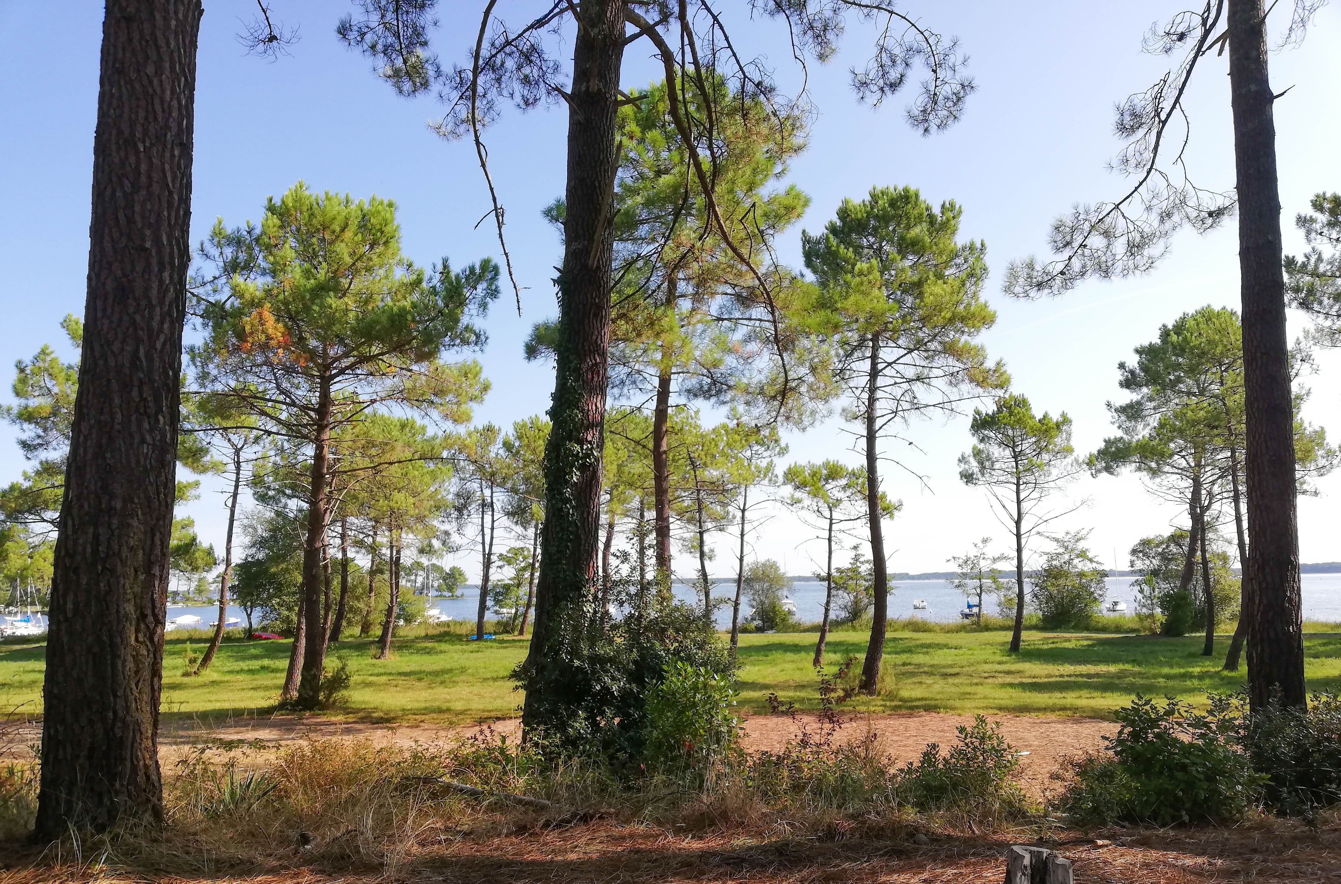 Lac de Lacanau, Lacanau - photo 6