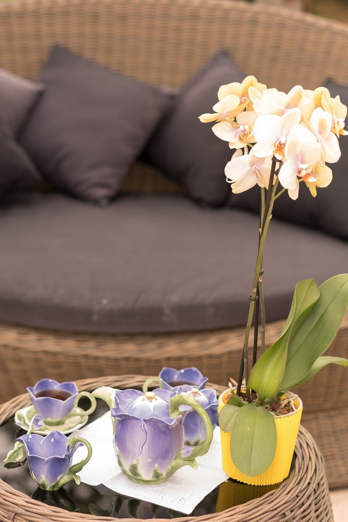 Chambres Lou Castet de Lussolle, Losse - photo 8