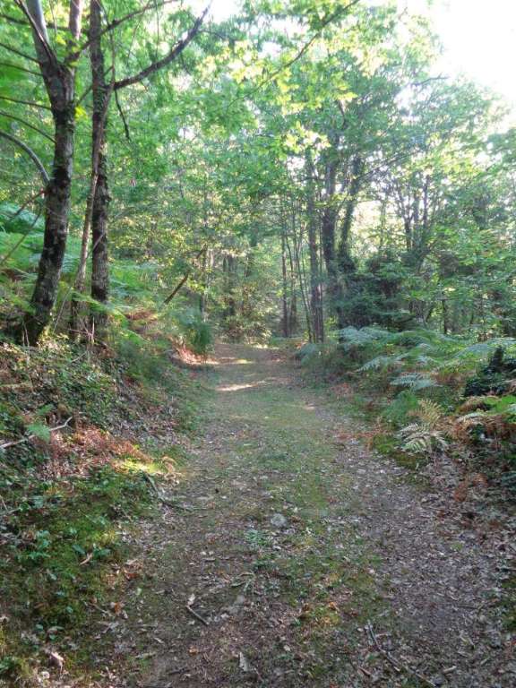 Un Balcon sur le Pays de Brive - VTT — photo 3