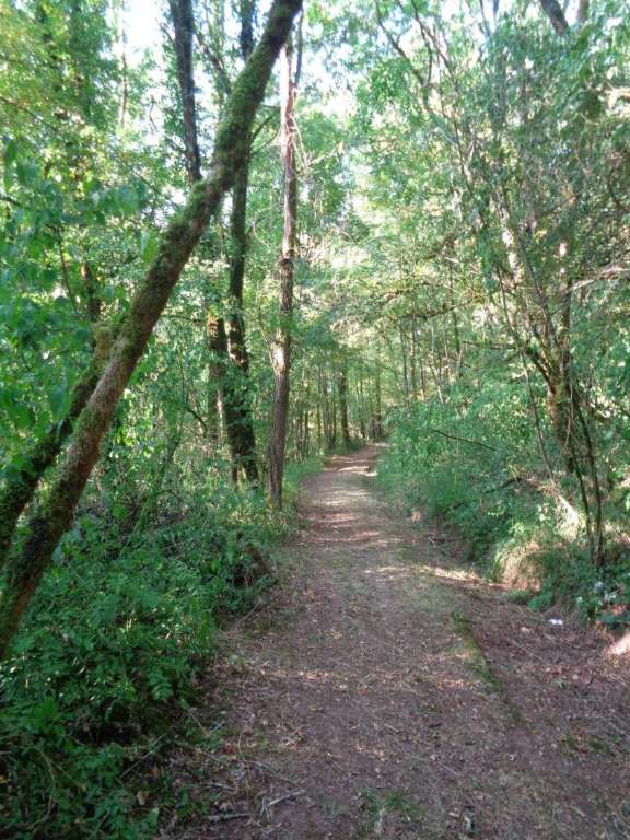GRP Midi Corrézien - boucle de Lostanges - VTT — photo 2
