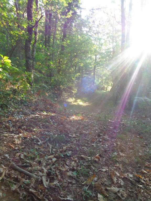 Monts et Vallées de Lostanges - VTT — photo 2