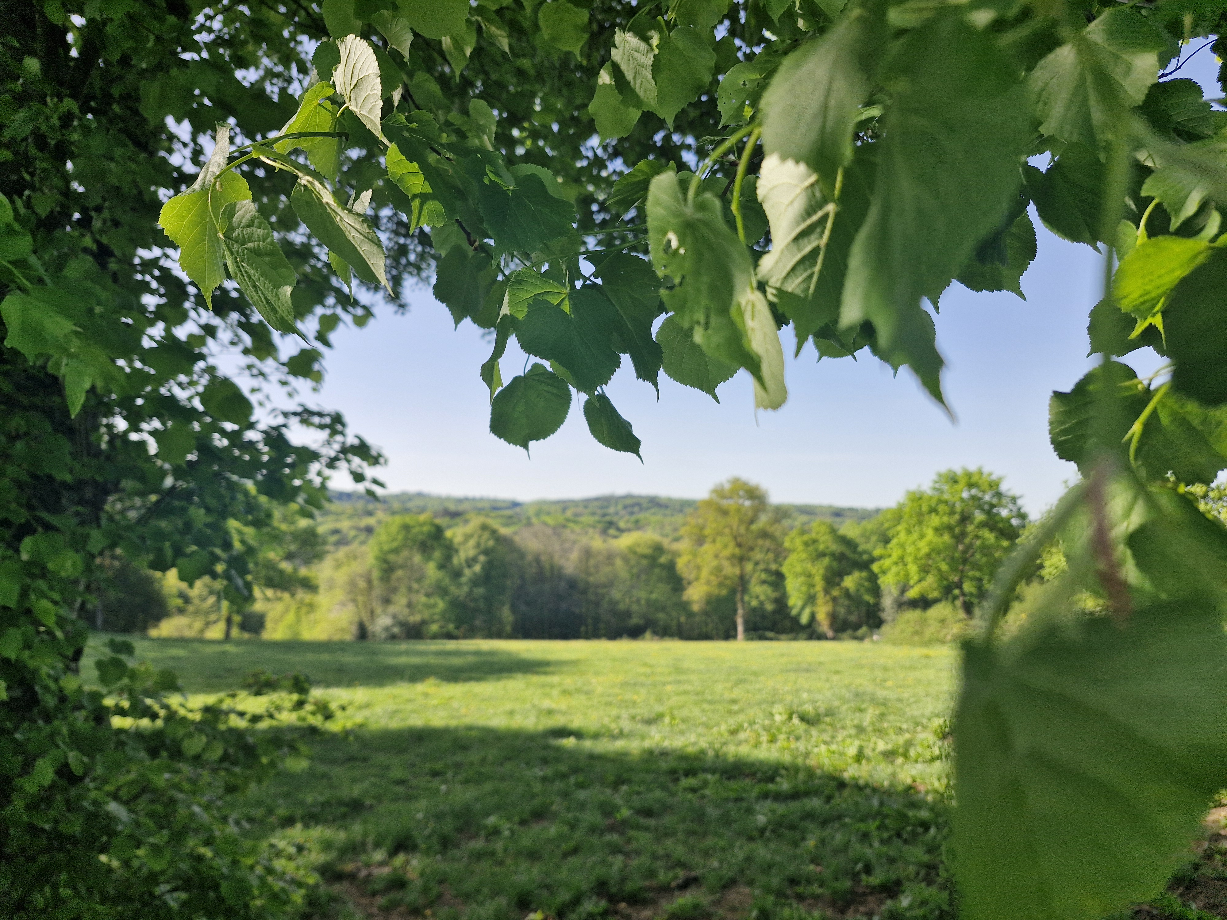 Lou Roual De Las Fadas, Treignac - photo 10
