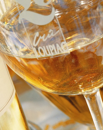 Journées Gourmandes Loupiac et Foie gras