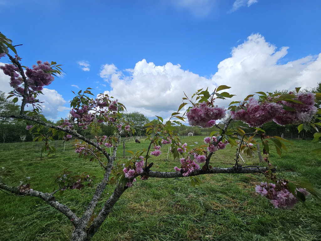 Quelque part sur la terre, Lourdoueix-Saint-Pierre - photo 17