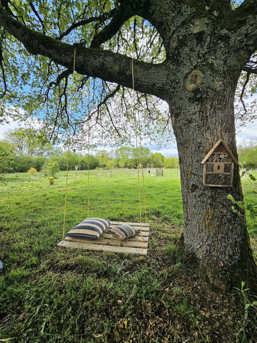 Quelque part sur la terre, Lourdoueix-Saint-Pierre - photo 18