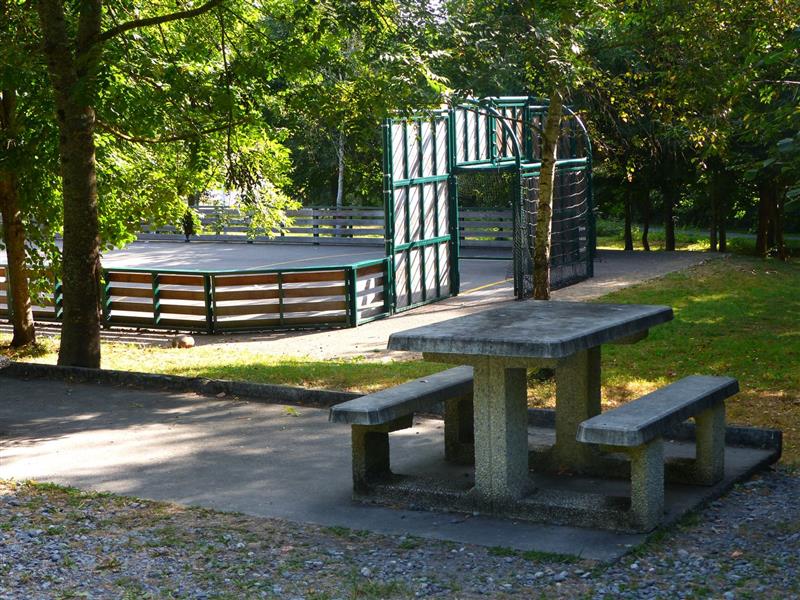 Aire de pique-nique du lac du Gabas