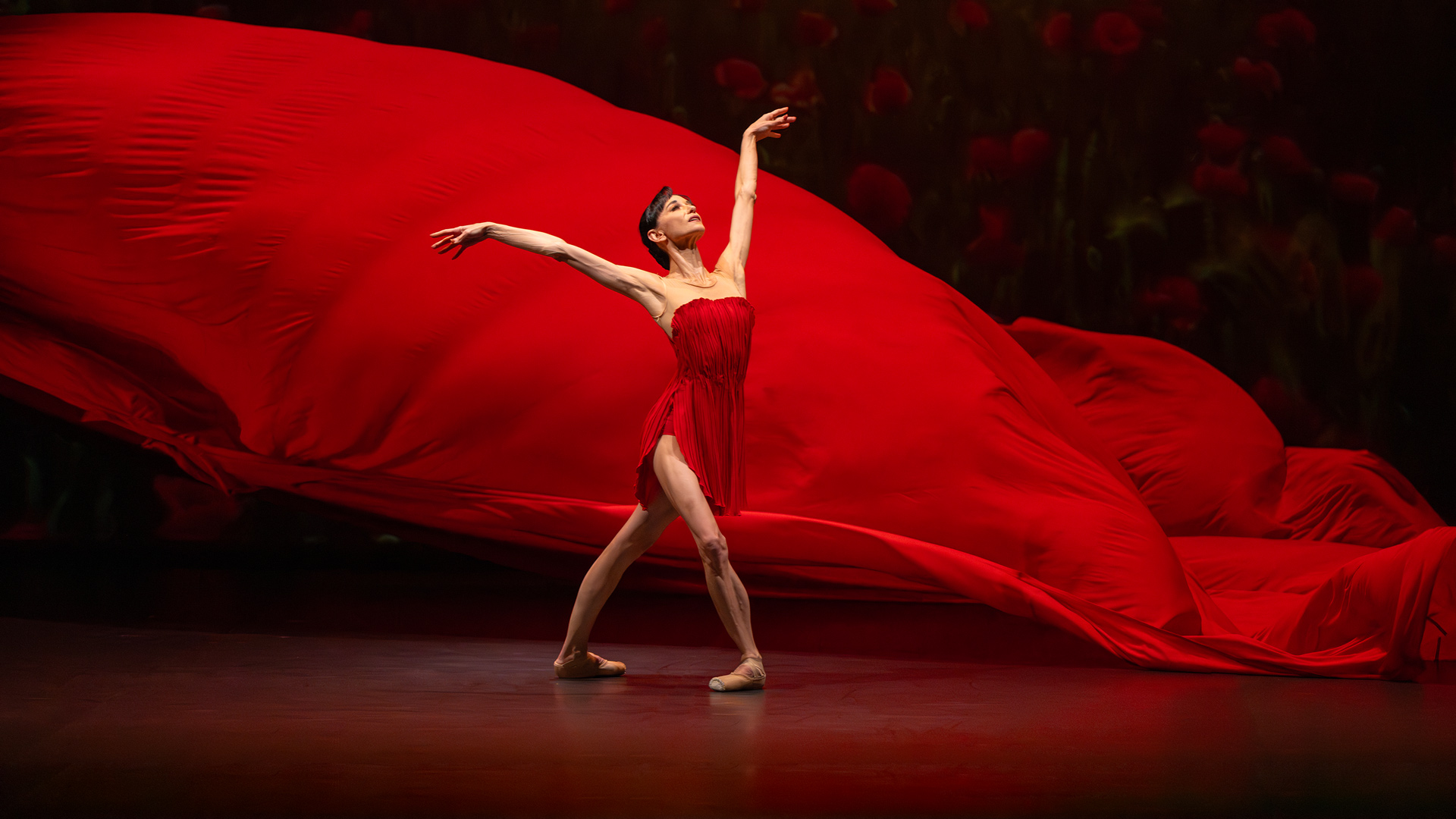 Le Temps d'Aimer la Danse 2026 - Lucia Lacarra Ballet - Lost Letters — visuel événement