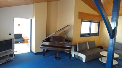 Patylandes - Plantade Patricia, Angresse - photo 10