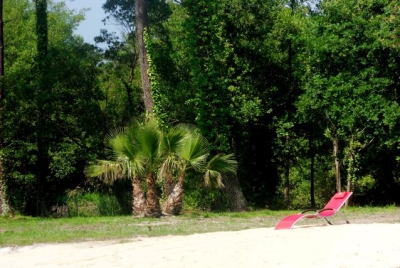 Patylandes - Plantade Patricia, Angresse - photo 7