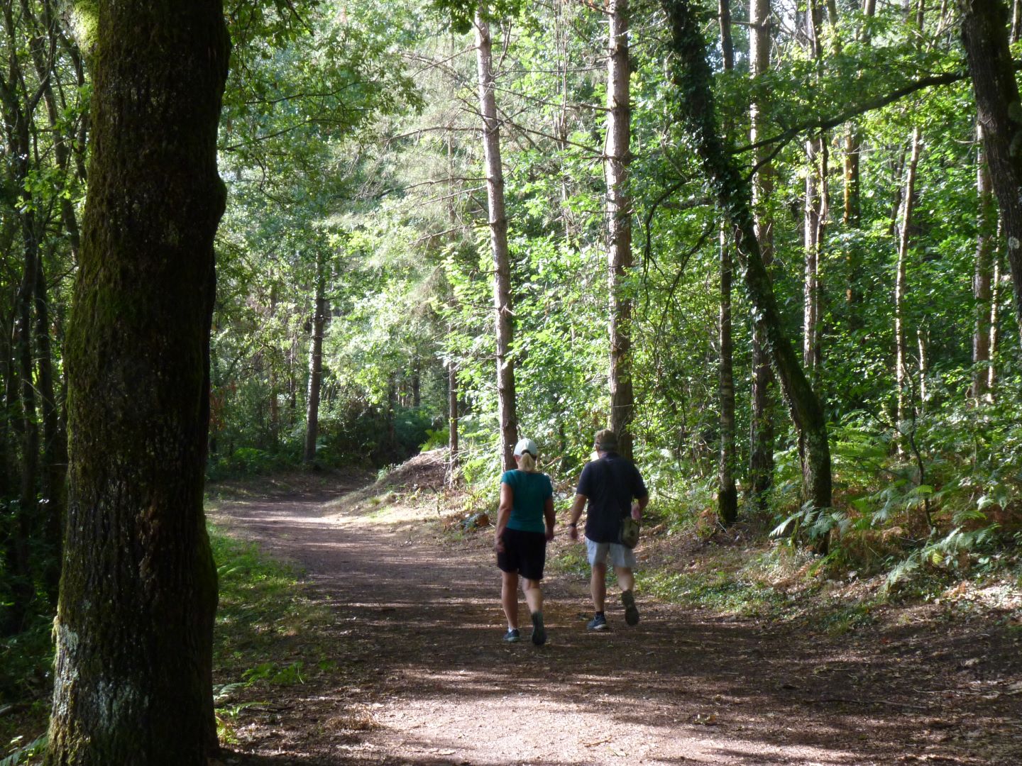 Lac de l'Ayguelongue