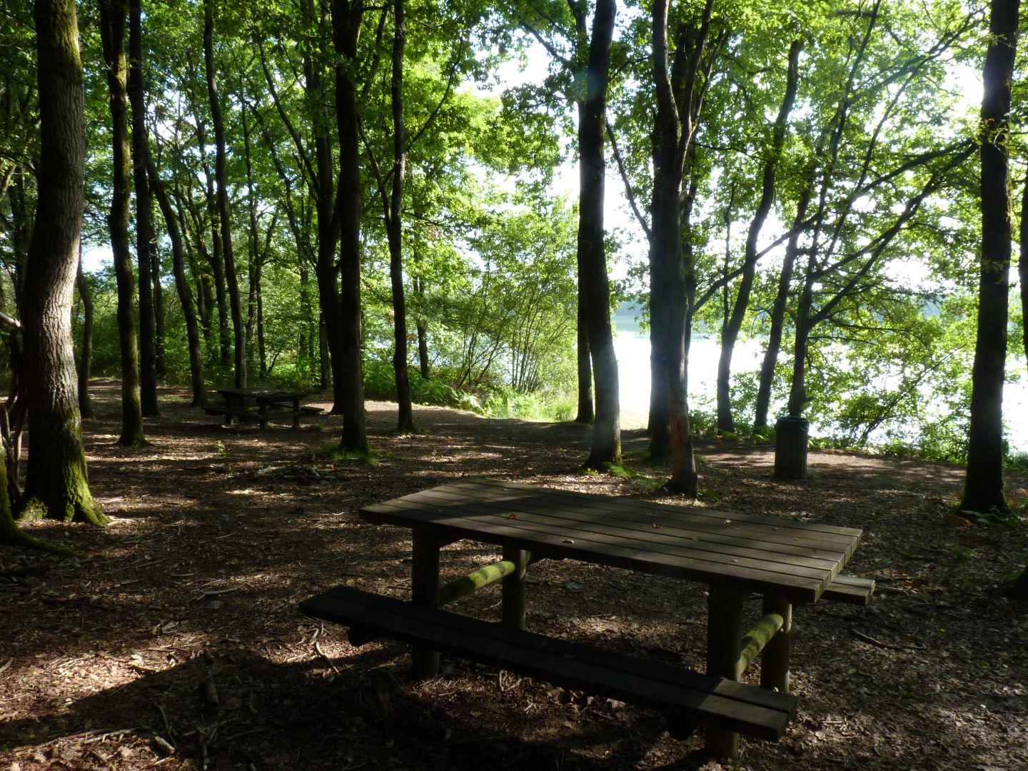 Lac de l'Ayguelongue, Mazerolles - photo 6