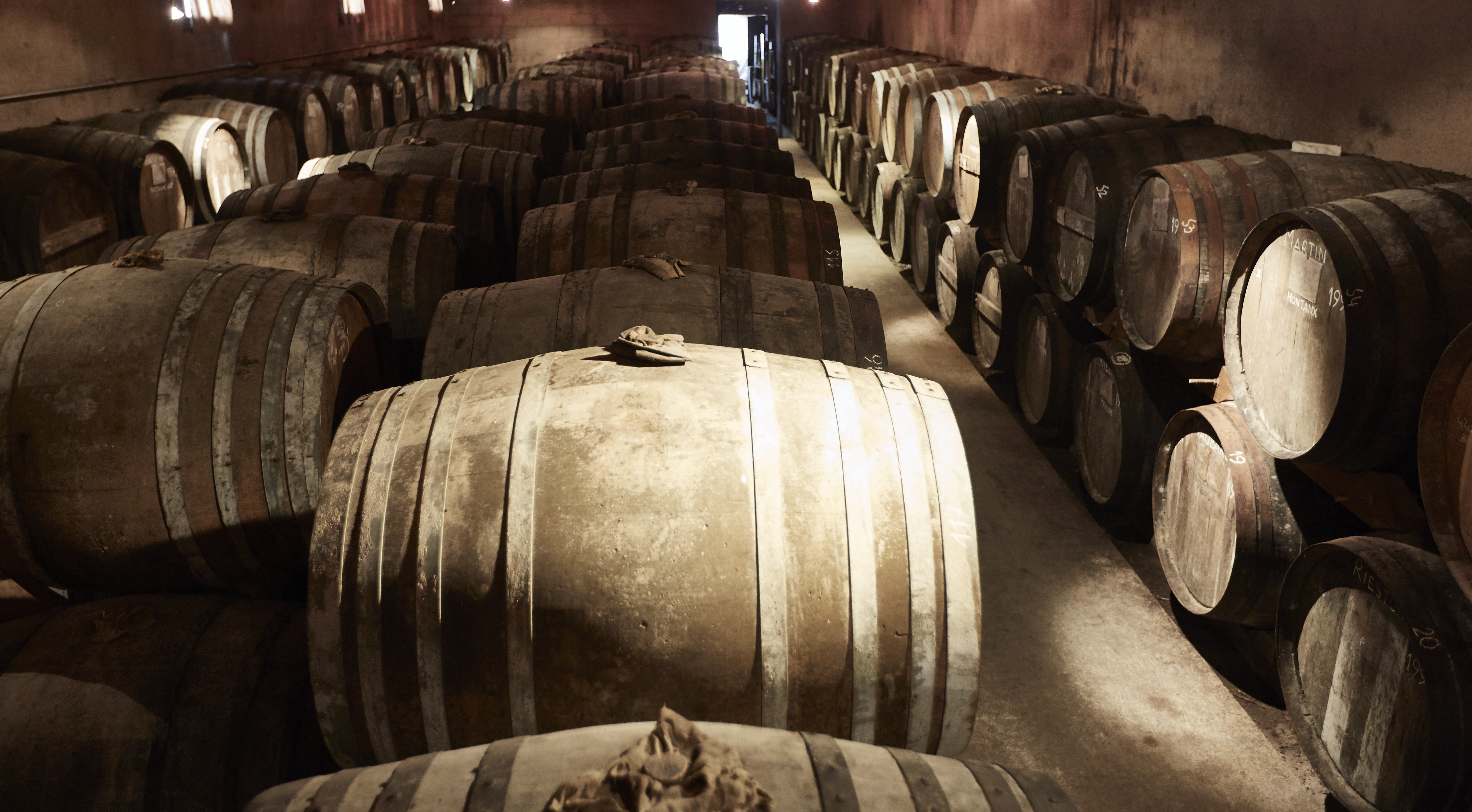 BAS ARMAGNAC DARROZE — photo 2