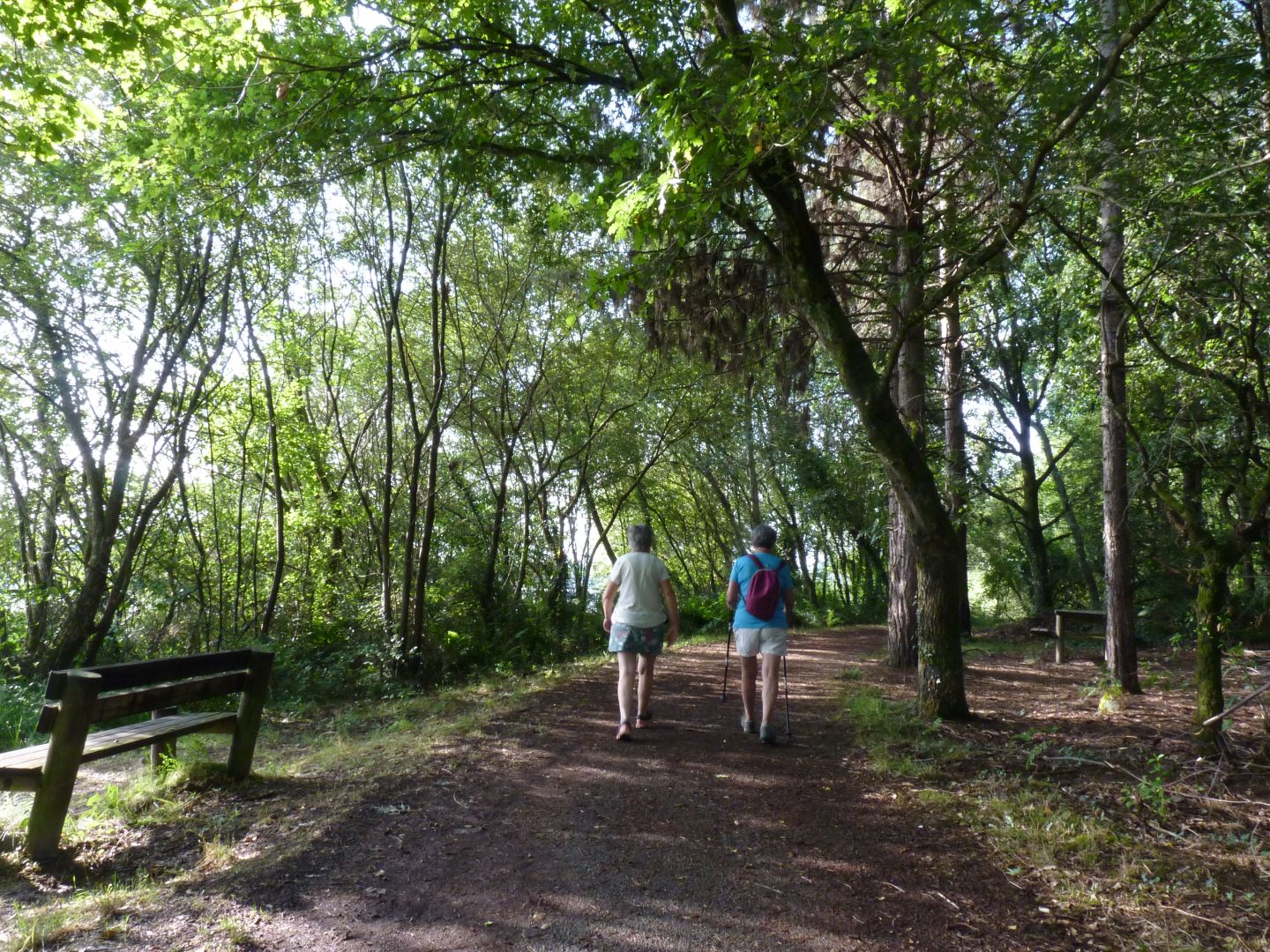 Momas : Tour du lac de l'Ayguelongue, Momas - photo 2